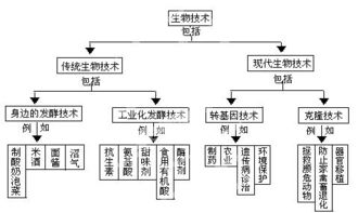 生物技術概念圖解讀 從酸奶與泡菜看知識產權在生物領域的應用